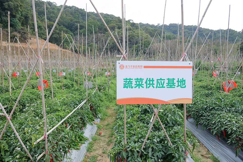 一站式食材采购，畅享便捷美食之旅.png
